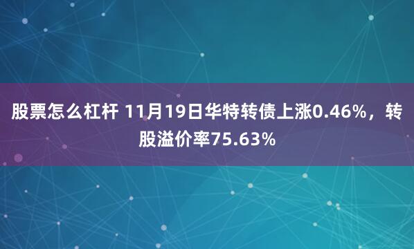 股票怎么杠杆 11月19日华特转债上涨0.46%，转股溢价率75.63%