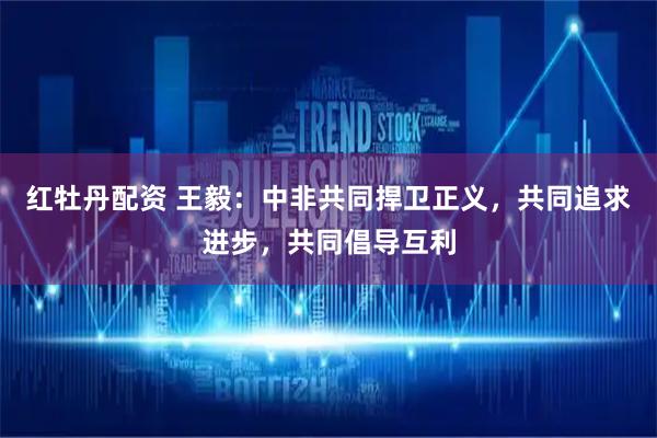 红牡丹配资 王毅：中非共同捍卫正义，共同追求进步，共同倡导互利